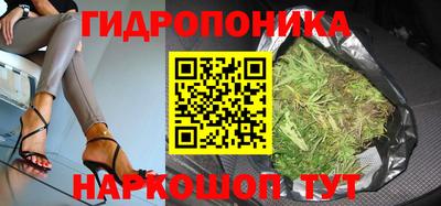 jwh Краснодар