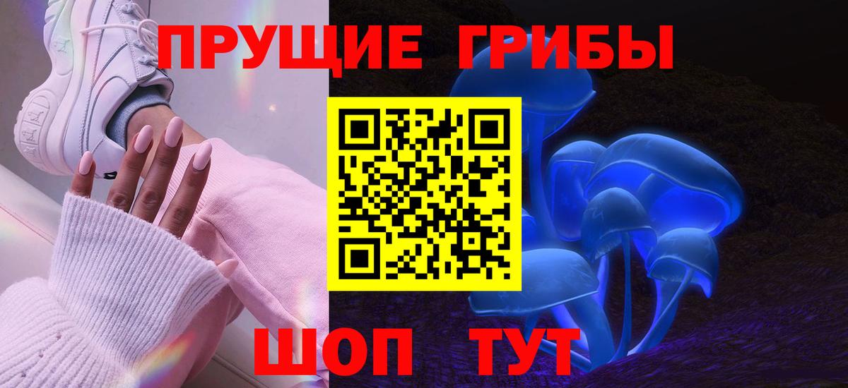 даркнет сайт  Псилоцибиновые грибы MAGIC MUSHROOMS  Псилоцибиновые грибы GOLDEN TEACHER  Вход с VPN  Каменка 